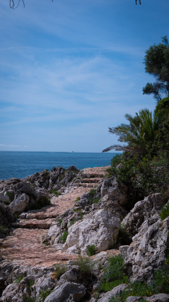 P1041425