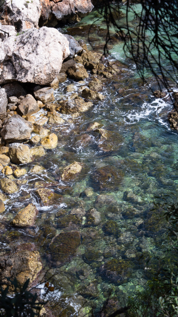 P1041437